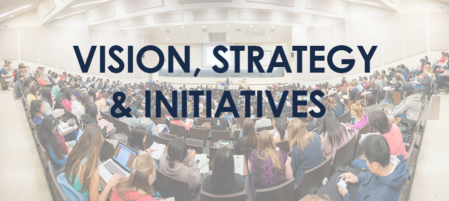 Vision Initives Vision, Strategy & Initiatives